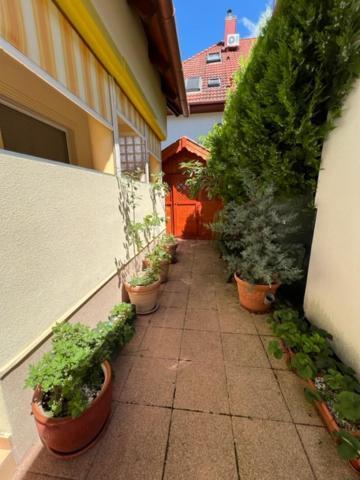 Sofi Appartment Hévíz Eksteriør billede